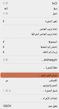 الخيار عرض نص بديل في قائمة السياق في PowerPoint for Mac.