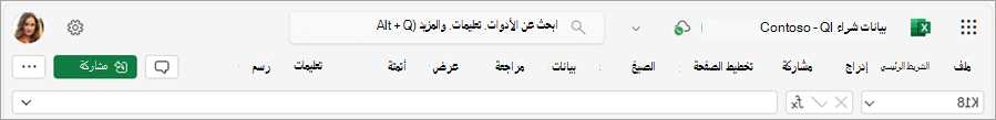 لقطة شاشة تعرض شريط Excel بدون القائمة الكاملة للأوامر تحت كل علامة تبويب.