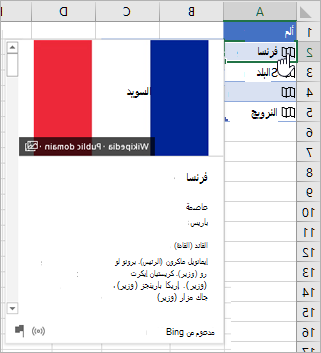 خلية بها سجل مرتبط لـ 