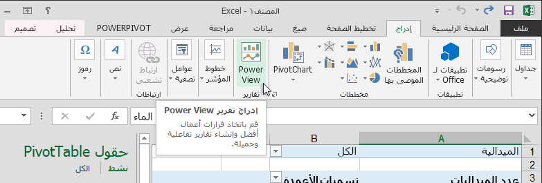 إدراج تقرير Power View