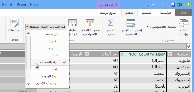 فئات البيانات في Power Pivot