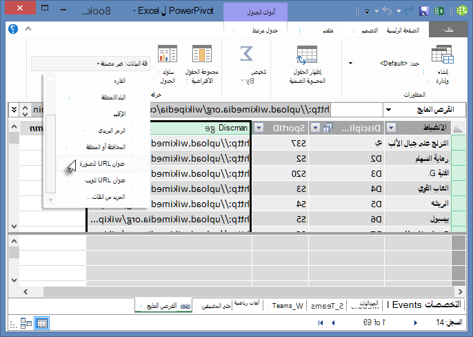 تعيين فئة البيانات في Power Pivot
