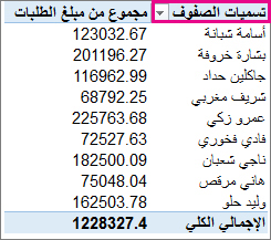 تصفية تسميات الصفوف