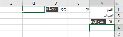 إدخال البيانات في خلية