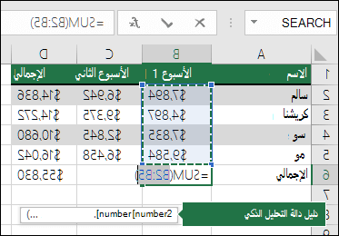 تعرض الخلية B6 صيغة Sum 