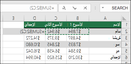 تعرض الخلية D2 صيغة Sum 