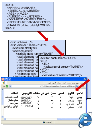بنية ملف XML أساسية مع مخطط وتحويل.