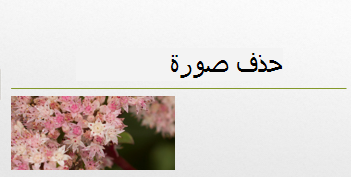 تم حذف الصورة التي حددتها.