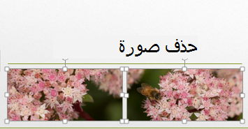عند الضغط باستمرار على المفتاح Control، يمكنك تحديد أكثر من صورة واحدة.