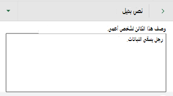 مربع الحوار نص بديل في Excel for Android.