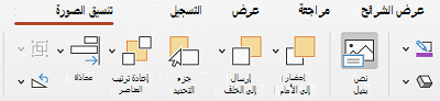 الزر نص بديل على الشريط في PowerPoint for Mac.
