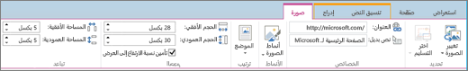 لقطة شاشة تظهر مقطع من شريط SharePoint Online مع تحديد علامة التبويب «الصورة» والتحديدات المتوفرة في مجموعات «التحديد» و«الخصائص» و«الأنماط» و«الترتيب» و«الحجم» و«التباعد».