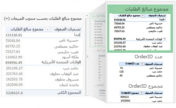 تقارير PivotTable المستحسنة للبيانات