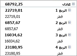 PivotTable في نموذج مضغوط
