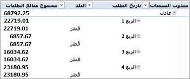 PivotTable في نموذج مخطط تفصيلي