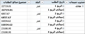 PivotTable في نموذج جدولي