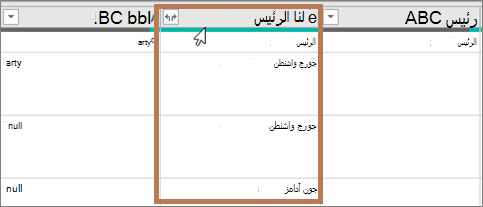 يتم إنشاء عمود نوع البيانات