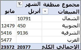 مثال لتقرير PivotTable