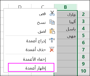 الخيار 