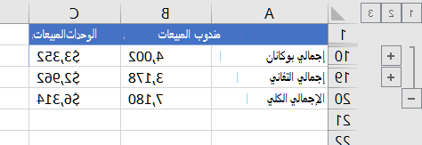 تعرض القائمة المخططة تفصيلياً صفوف الإجماليات فقط
