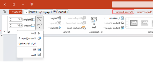 تظهر لقطة الشاشة خيارات تنسيق الصورة على الشريط وميزة الاقتصاص مفتوحة في Microsoft PowerPoint (.pptx).
