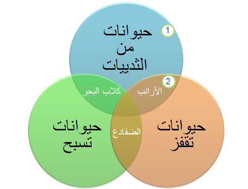 الرسم التخطيطي 