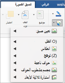 إظهار الخيارات في القائمة تأثيرات الصورة