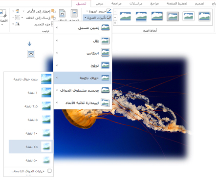 استخدم 