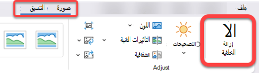 في علامة التبويب تنسيق الصورة على شريط الأدوات، حدد الخيار إزالة الخلفية.