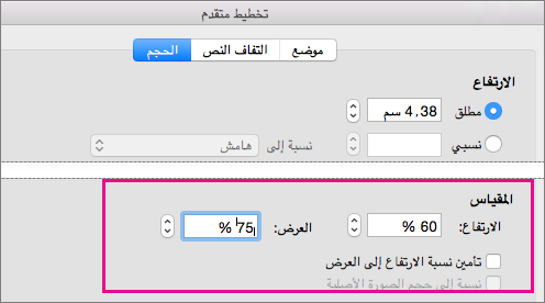 في علامة التبويب حجم في المربع تخطيط متقدم، يتم تمييز خيارات المقياس.