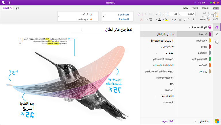 لقطة شاشة من OneNote for Mac