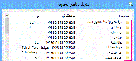 تملك جميع أنواع العناصر الأيقونة نفسها في المجلد 