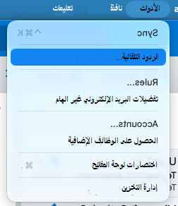 Tools_menu_Automatic_Replies