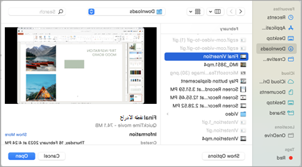إدراج فيديو من لقطة شاشة PowerPoint Web اثنين