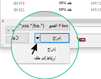 في مربع الحوار إدراج فيديو، يمكنك الاختيار بين إدراج (مما يعني تضمين) أو ارتباط إلى ملف.