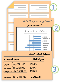 تعرض التقارير البيانات المنسقة أو المحسوبة