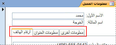 نموذج يحتوي على عنصر تحكم علامة تبويب