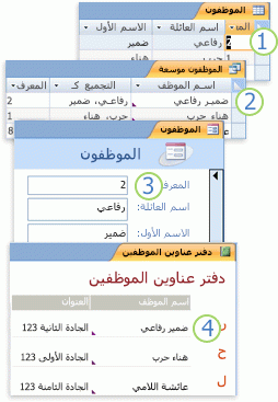 بيانات من الجداول المُستخدمة في استعلام ونموذج وتقرير