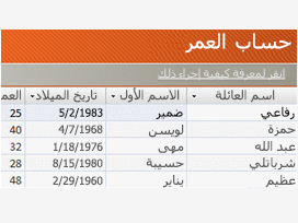 رسم توضيحي لقالب Access 