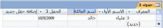 كتابة اسم حقل جديد في جدول الوصول