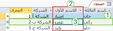 يعرض جدول العملاء في Access تخطيط للسجلات والحقول