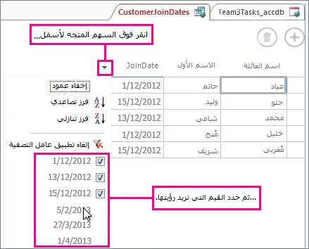 تصفية عمود في استعلام في تطبيق Access.