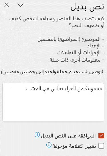 يظهر النص البديل التلقائي في جزء النص البديل مع تحديد خانة الاختيار 
