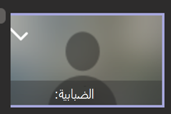 لقطة شاشة تعرض خيار تمويه الخلفية محددا.