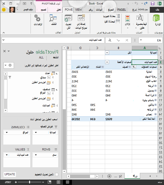 جدول PivotTable تمت تصفيته