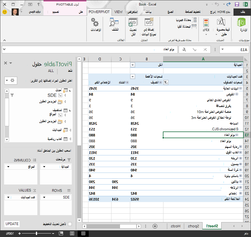 استكشاف التسلسل الهرمي في PivotTable