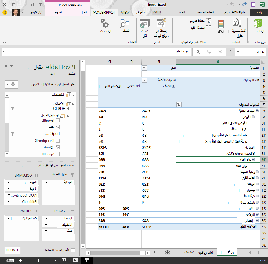 جدول PivotTable تم إنشاؤه بدون تسلسل هرمي