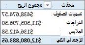 نموذج PivotTable