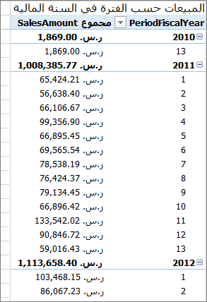 نموذج PivotTable للسنة المالية