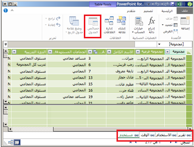نافذة PowerPivot مبوبة